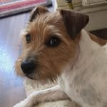 Sue Peck - @sue.peck.100 - Instagram