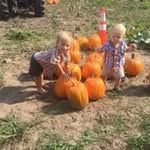 Sue Peck - @sue7353 - Instagram