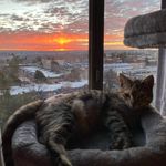 Sue Pettit - @suepettit7 - Instagram