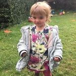 Sue Pettit - @pettit1161 - Instagram
