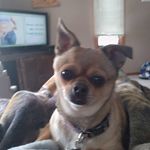Sue Pettit - @suepettit6 - Instagram