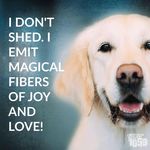 Sue Pitman - @suepitman61 - Instagram