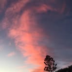 Sue Pocock - Facebook