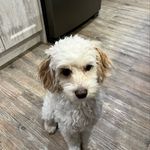 Sue Polk - @spolkg - Instagram
