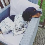 sue - @suepolky - Instagram