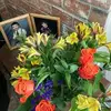 Sue Potter - @user8144537752373 - TikTok