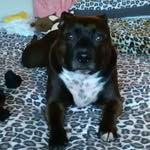 Sue Potter - @sue.potter.9659 - Instagram