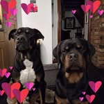 Sue Low - @sue.power.902 - Instagram