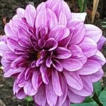 Sue power - @suey.power - Instagram