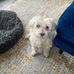 Sue Power - Facebook