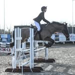 Sue Power - @elmo_welshd - Instagram