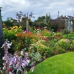 Sue Power - @suepower4142 - Instagram