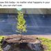 Sue Rasmussen - Facebook