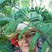 Susan Rasmussen - Facebook