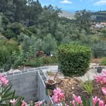 sue Ratcliffe - @ratcliffe6716 - Instagram
