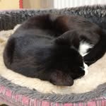 Sue Ratcliffe - @smratcliffe - Instagram