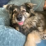 Sue Ratcliffe - @sratcliffe2 - Instagram