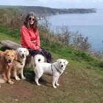 Sue Rawlings - @sue.rawlings.35 - Instagram