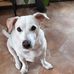 Sue Rawson - Facebook
