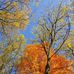 Sue Rawson - Facebook