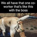 Sue Stanley Rawson - @stanleyrawson - Instagram