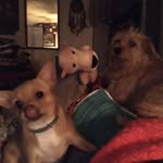 Sue Rector - @sue.rector - Instagram