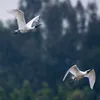 suereece995 - @suereece995 - TikTok