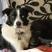 Sue Rees - Facebook