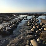 Sue Rees - @rees.sue7360 - Instagram