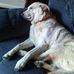 Sue Rees - Facebook