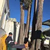 Sue Reimers - @suereimers - TikTok