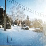 sue - @suereimerpeters - Instagram