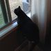 Sue Peterson Renner - Facebook