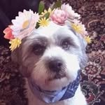 Sue Ristow - @sueristow - Instagram