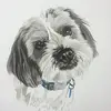 Sue Ristow - @sueristow0 - TikTok