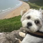 Sue Rodgers - Facebook