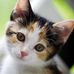 Sue Rodman - Facebook
