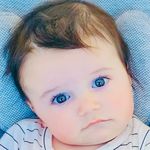 Sue Rodman Ward - @fourward914 - Instagram