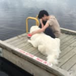 Sue Roh - @roh.sue - Instagram