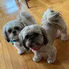 Sue Rohl - @suerohl - TikTok