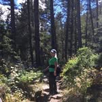 Sue Rohm-Scott - @rohmscott - Instagram