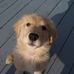 Sue Roscoe - Facebook