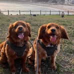Sue Rosen - Facebook