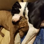 Sue Rosen - Facebook