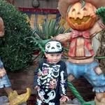 Sue Rosen - @sue44454 - Instagram