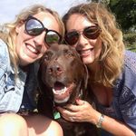 Sue Rowe - @sueroweinsta - Instagram