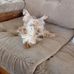 Sue Ruble - Facebook