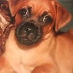 Sue Rush Cavaliere - @yung_sve - Instagram