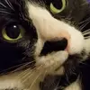Sue Ryder - @sue.ryder1 - TikTok