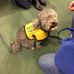 Sue Ryder Care - Facebook